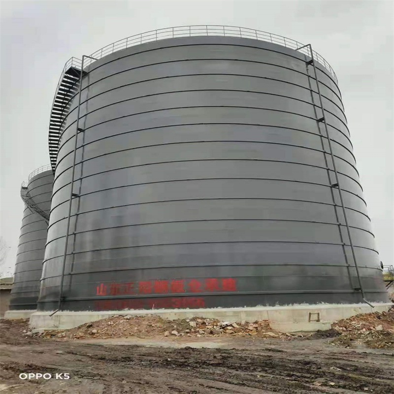 南岗3万吨大型钢板库